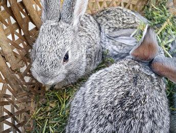 微软注册AI作曲专利 游戏音乐或将实现千人千面